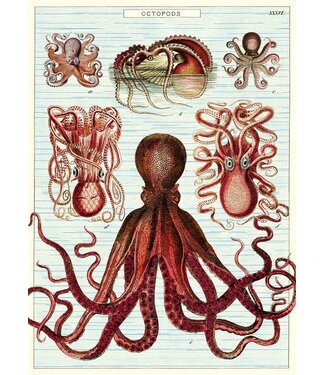 Cavallini Papers & Co - Octopods - Wrap/Poster