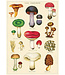 Cavallini - Mushrooms 2 - Papel Regalo/Póster