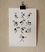 Flavita Banana Flavita Banana - Las Canciones Antes de Ti - A4 Print