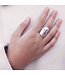 Xtellar - Face Ring - Plata