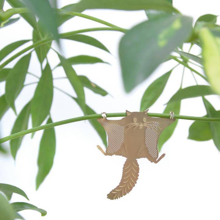 Another Studio - Plant Animal - Flying Squirrel - Grey Street Another Studio - Plant Animal - Flying Squirrel - Grey Street