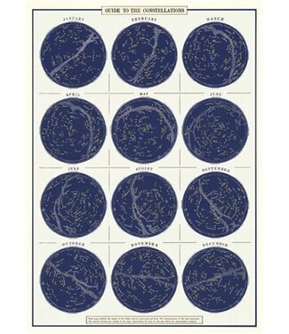 Cavallini Papers & Co - Constellations Wrap / Posters