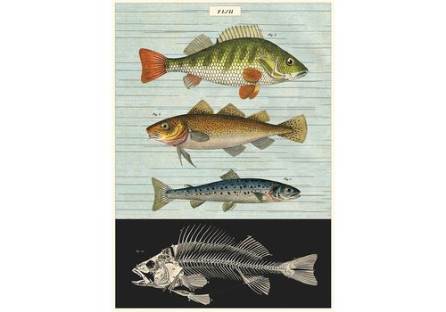 Cavallini Papers & Co Cavallini Papers & Co - Fish - Wrap/Poster