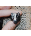 Michi Roman Michi Roman - Panther Ring - Sterling Silver