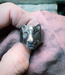 Michi Roman Michi Roman - Panther Ring - Sterling Silver