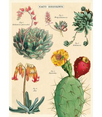 Cavallini Papers & Co - Cacti & Succulents 2 - Wrap/Poster