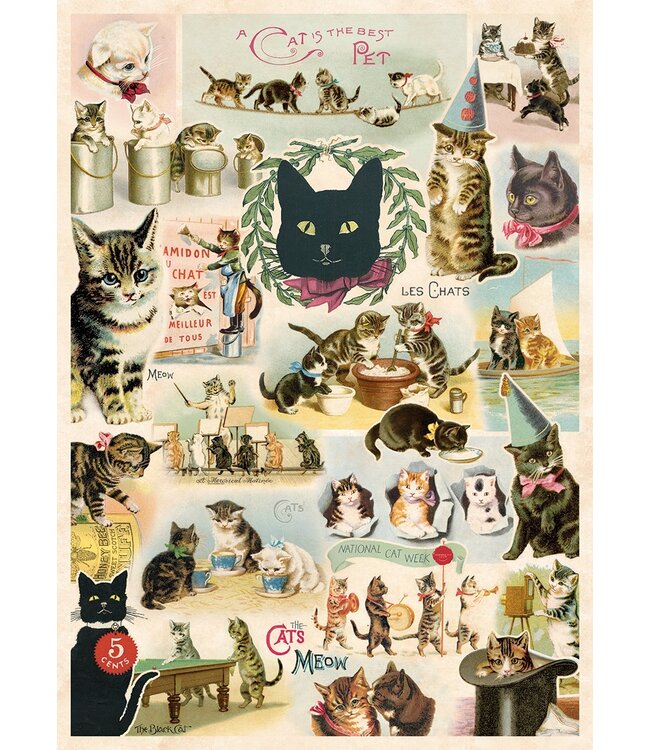 Cavallini - Collage de Gatos - Papel Regalo/Póster