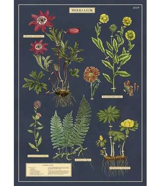 Cavallini Papers & Co - Herbarium - Wrap/Poster