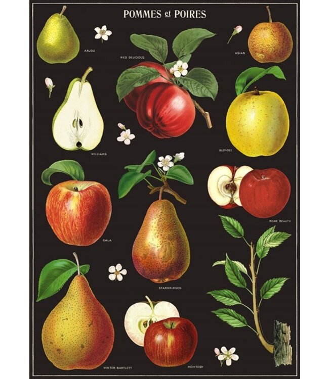 Cavallini - Apples & Pears - Papel de Regalo/Poster