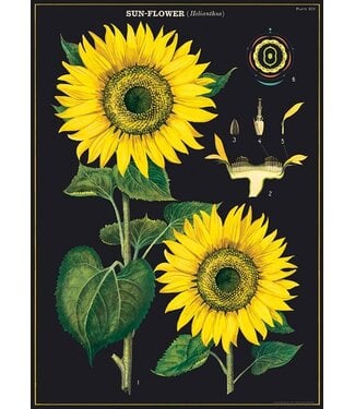 Cavallini Papers & Co - Sunflower - Wrap/Poster