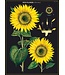 Cavallini Papers & Co - Sunflower - Wrap/Poster