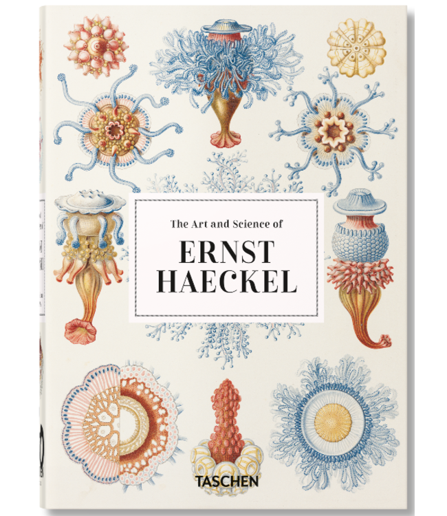 Taschen Rainer Willman & Julia Voss - Ernst Haeckel 40 Years