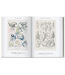 Taschen Rainer Willman & Julia Voss - Ernst Haeckel 40 Years