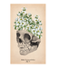 Librero ​​​​​​​El Tarot de Anatomía y Botánica Antiguas - Claire Goodchild