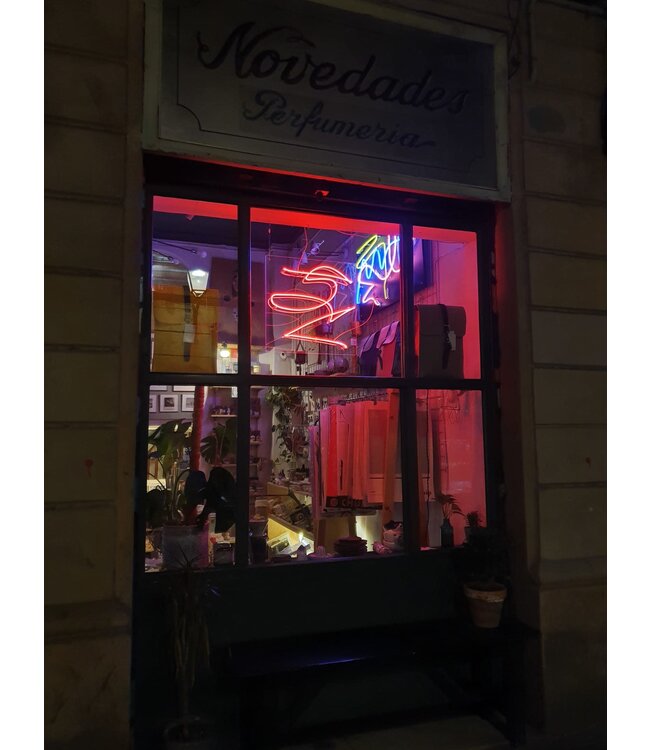 Ferran Capo - Neon Art Piece - Small