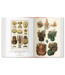 Taschen Taschen - Cabinet of Natural Curiosities