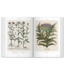 Taschen The Book of Plants - Basilius Besler's Florilegium