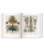 Taschen The Book of Plants - Basilius Besler's Florilegium