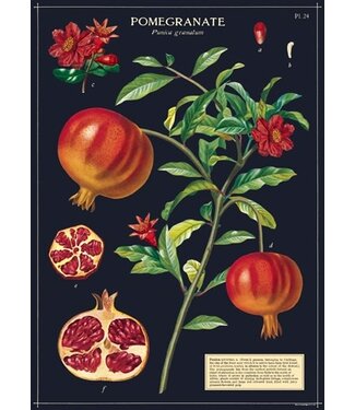 Cavallini Papers & Co - Pomegranate - Wrap/Poster