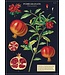 Cavallini Papers & Co - Pomegranate - Wrap/Poster