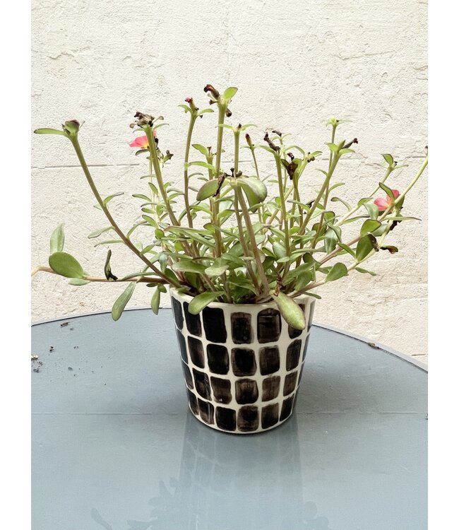 Blau Cobalt Blau Cobalt - Maceta -Dark & white