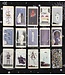 Fournier Fournier - Carlotydes Tarot