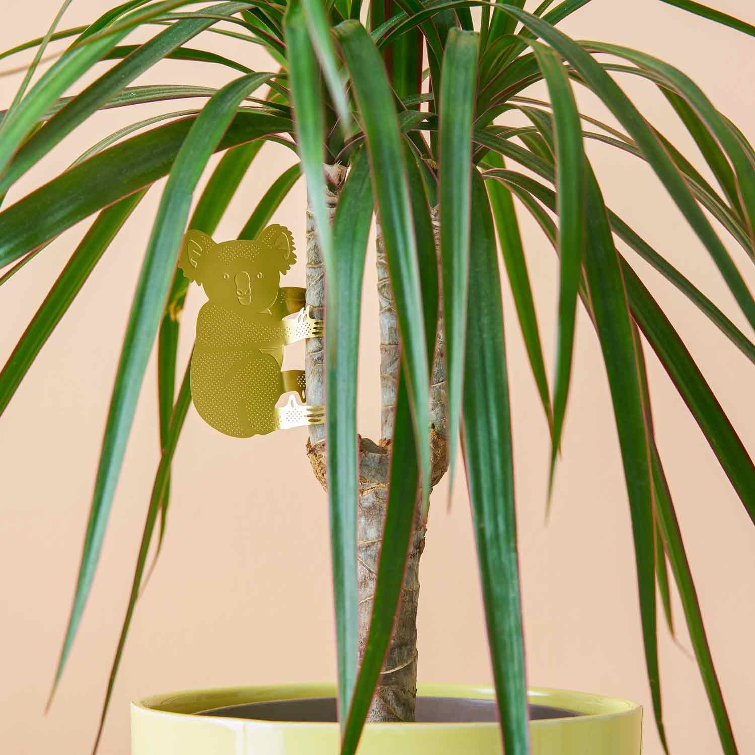 Another Studio - Plant Animal - Chimpanzee - Grey Street Another Studio - Plant Animal - Chimpanzee - Grey Street