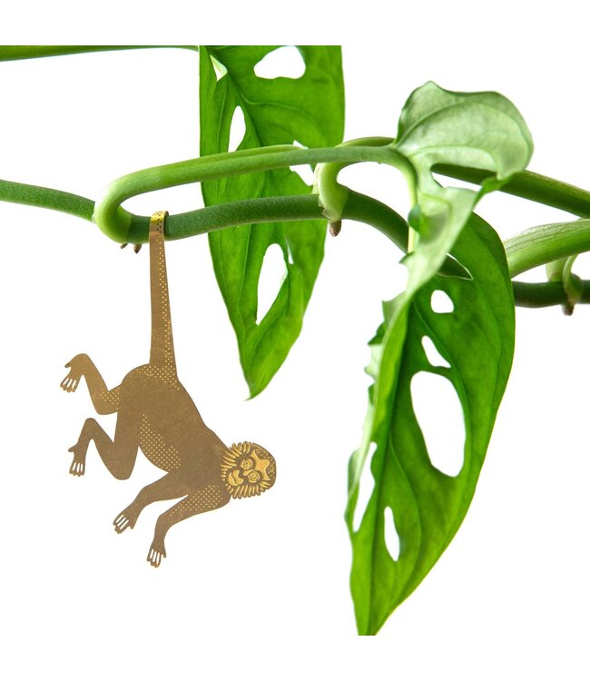 Another Studio - Plant Animal - Spider Monkey
