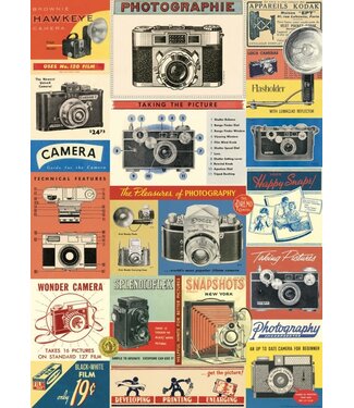 Cavallini Papers & Co - Vintage Cameras Wrap/Poster