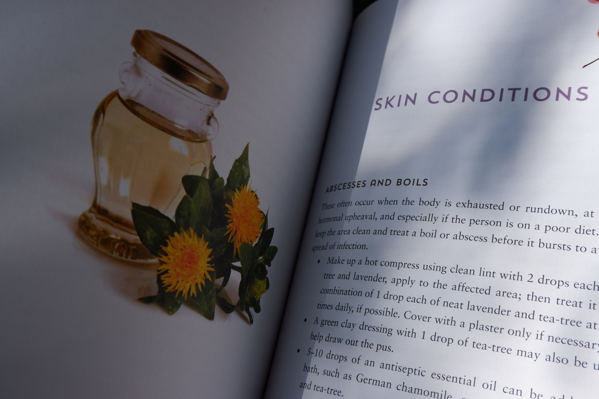 Rockpool Publishing Essential Oils - Ravi Ratan - Grey Street