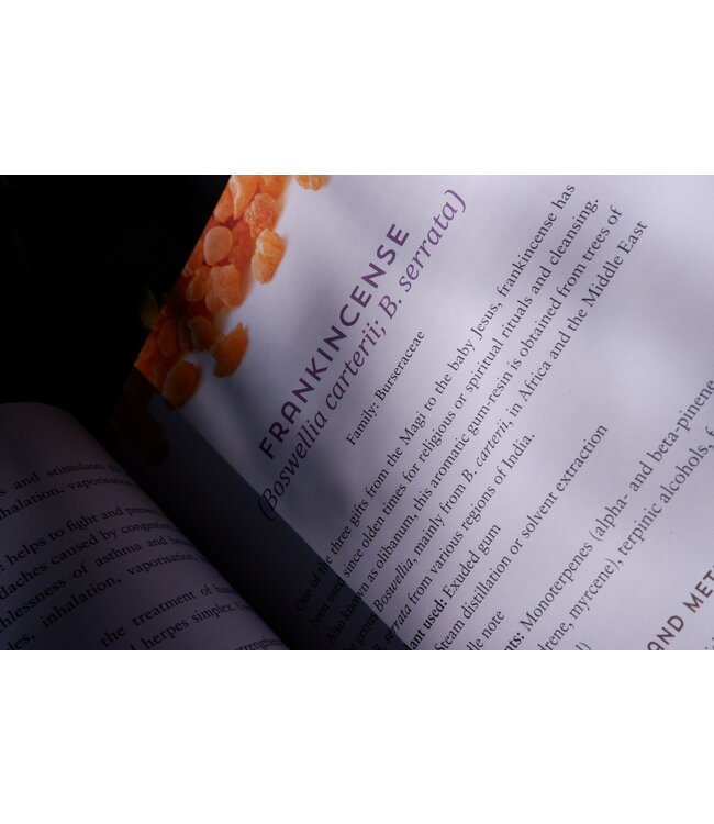 Rockpool Publishing Essential Oils -  Ravi Ratan