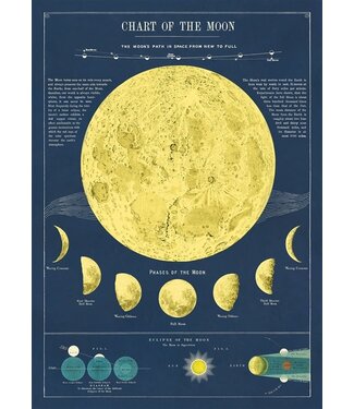 Cavallini - Moon Chart - Wrap/Poster