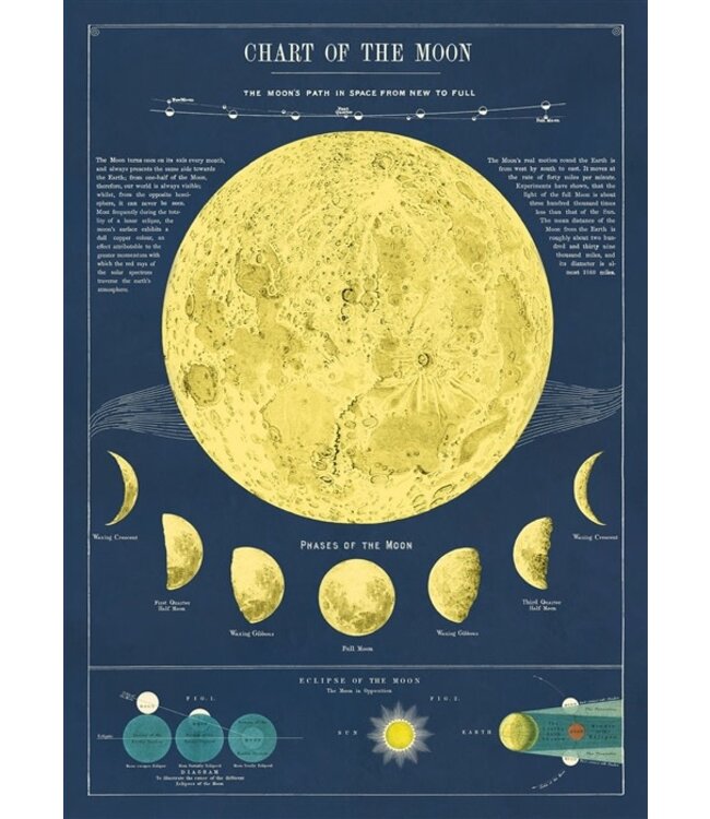 Cavallini - Moon Chart - Wrap/Poster