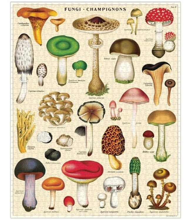 Cavallini - Mushrooms - Puzzle de 1000 piezas