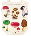 Cavallini - Mushrooms Tote Bag