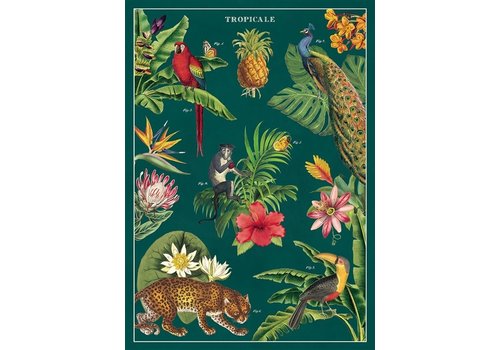 Cavallini Papers & Co Cavallini Papers & Co - Tropicale - Wrap/Poster