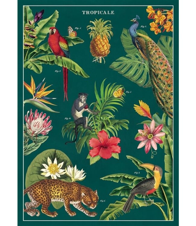 Cavallini Papers & Co - Tropicale - Wrap/Poster