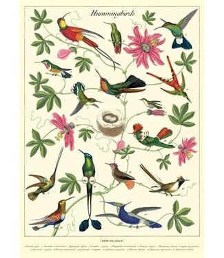 Cavallini - Hummingbirds - Wrap/Poster