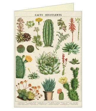 Cavallini Papers & Co - Cacti & Succulents - Greeting Card