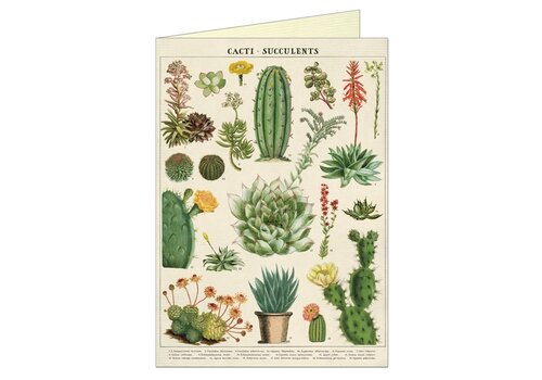 Cavallini Papers & Co Cavallini Papers & Co - Cacti & Succulents - Greeting Card