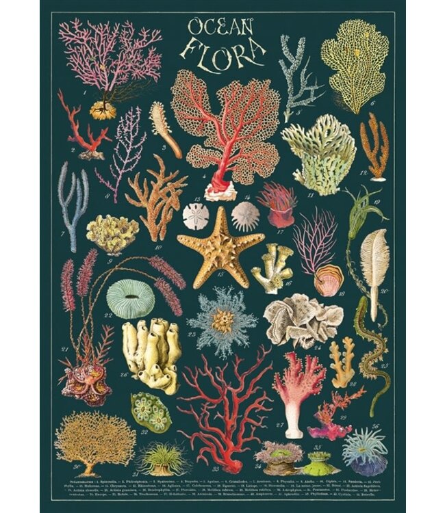 Cavallini Papers & Co - Ocean Flora - Wrap/Poster