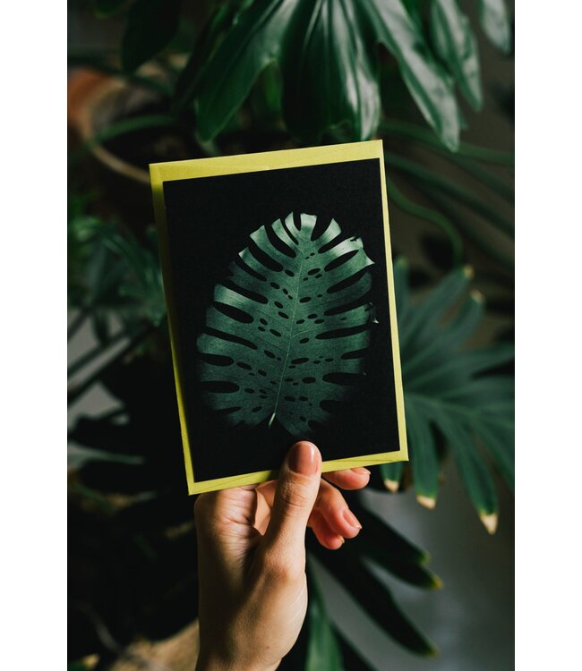 Little Ray of Sunflower Raya Sader Bujana - Monstera Deliciosa Postcard