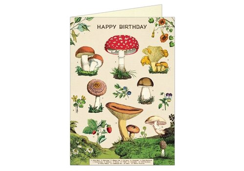 Cavallini Papers & Co Cavallini Papers & Co - Mushrooms - Greeting Card