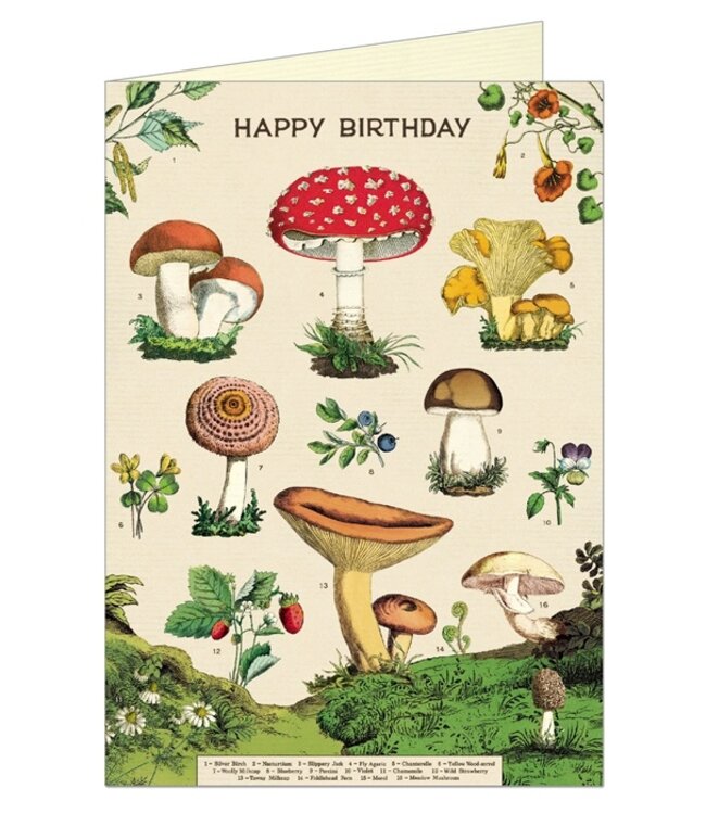 Cavallini Papers & Co - Mushrooms - Greeting Card