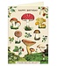 Cavallini Papers & Co - Mushrooms - Greeting Card