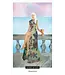 US Games Hannah Elizabeth Fofona  - Field Tarot Cards