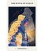 US Games Oracle of Novice Witches Cards Deck