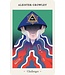 US Games Oracle of Novice Witches Cards Deck