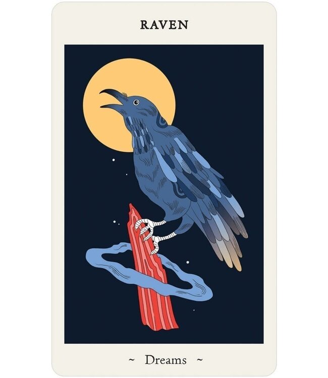 US Games Oracle of Novice Witches Cards Deck