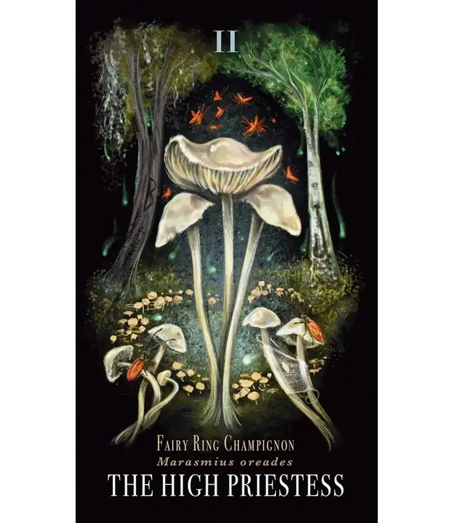 Adams Media Sara Richard - Midnight Magic Tarot Cards